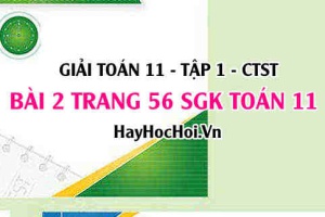 Giải bài 2 trang 56 Toán 11 tập 1 SGK Chân trời sáng tạo